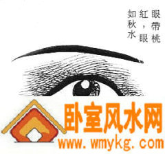 女性面相算命图解 女性面相算命图解
