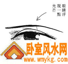 女性面相算命图解 女性面相算命图解