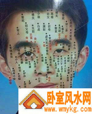 五官看相图解 五官看相图解