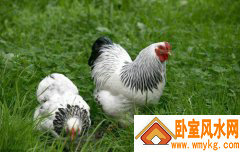 2021Фò ͼϵФ