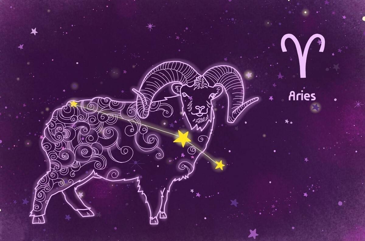 �ĸ������ܴ��ʨ��Ů(Ψһ����Űʨ�ӵ�����)