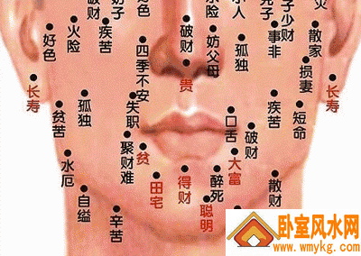 男人脸部痣的位置与命运图 男人脸部痣的位置与命运图