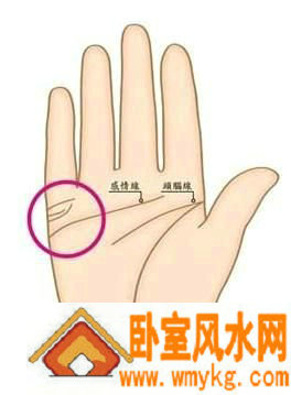 教你看手相揭密你的婚姻真相 教你看手相揭密你的婚姻真相