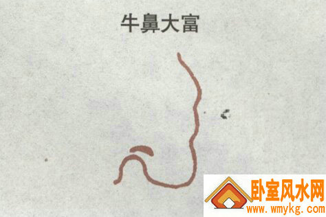牛鼻大富 牛鼻大富