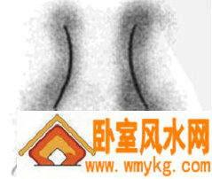 牛鼻 牛鼻
