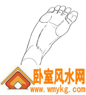 �ź����̥��