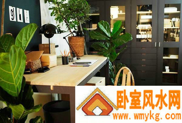 �鷿��ˮ�������� ����ѧϰ�Ⱦ�����