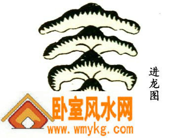 进龙格