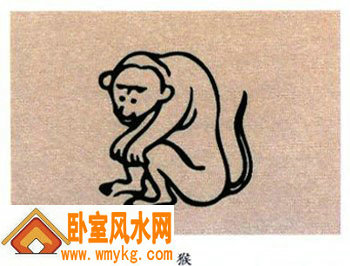 生肖为猴
