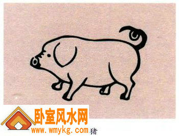 生肖为猪