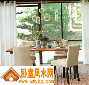 餐厅适合摆放什么植物