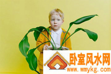 鼠年男孩名字首选免费