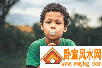 鼠年男孩名字首选免费
