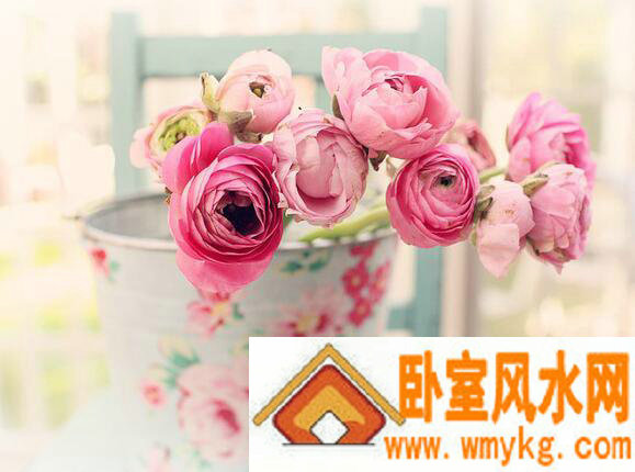 �ر�Ψ����QQ����