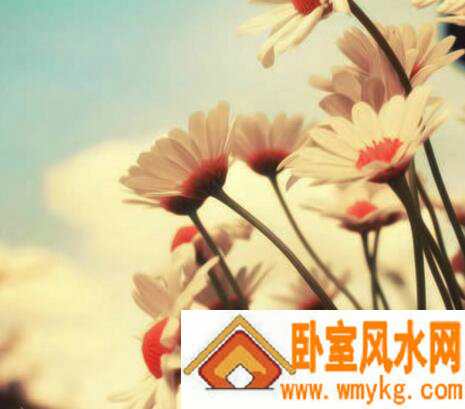 帅气的微信名字大全