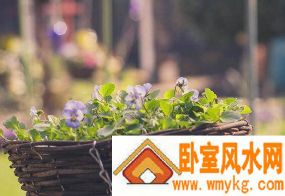 微信名字个性霸气