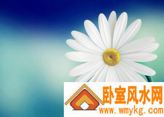 个性拉风的微信名字