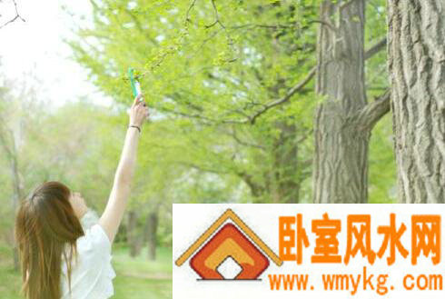 游戏好听的英文名字