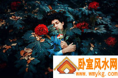 微生妆相关图片 微生妆相关图片