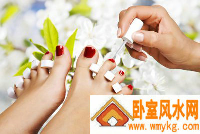 汪付相关图片 汪付相关图片