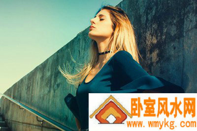 韦吞葛相关图片 韦吞葛相关图片