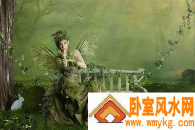 文柄相关图片 文柄相关图片