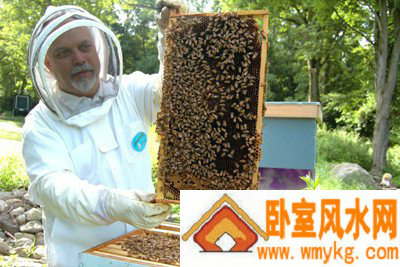 万责相关图片 万责相关图片