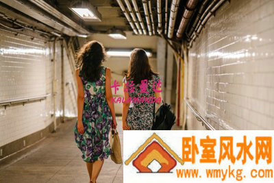 汪桶我相关图片 汪桶我相关图片
