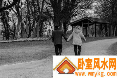 温犀相关图片 温犀相关图片