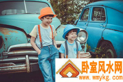 伍式届相关图片 伍式届相关图片