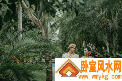 伍式届相关图片 伍式届相关图片