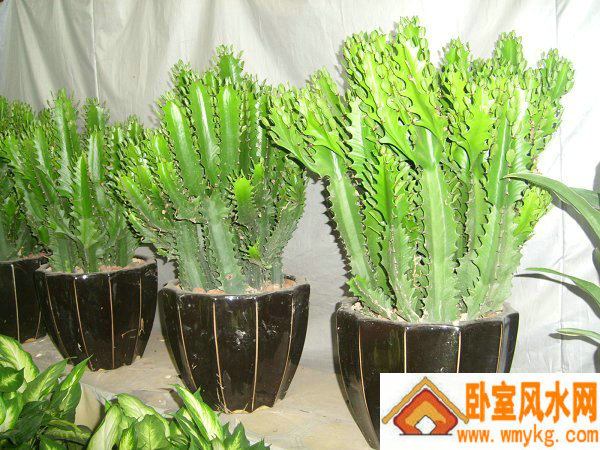 һ�첻�ͱ��˱ȽϾͲ��������Ф