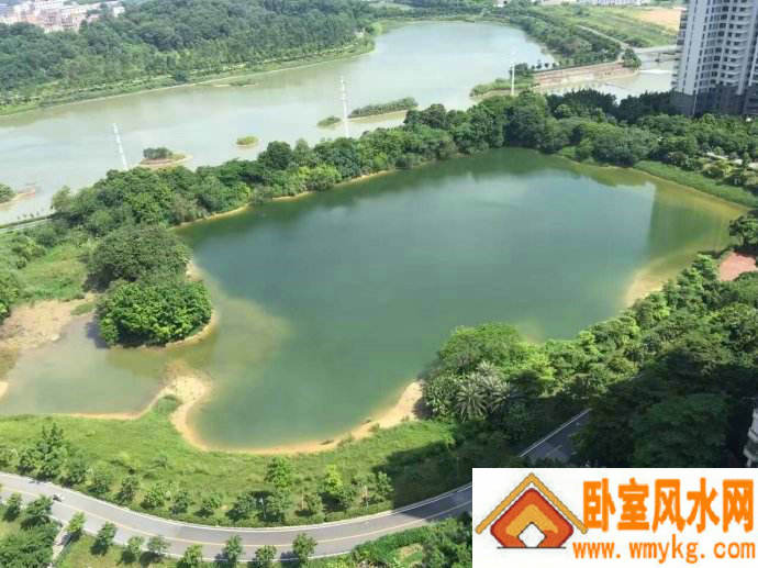 忍无可忍电影 忍无可忍电影武打片主演是谁 忍无可忍电影 忍无可忍电影武打片主演是谁