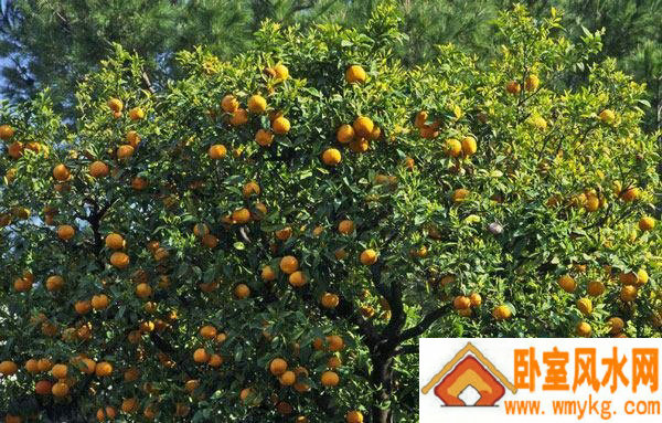 4月3日生日书,4月3日是什么星座 4月3日生日书,4月3日是什么星座