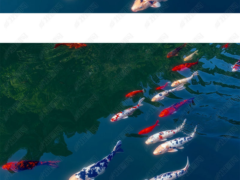 2025����ţ�˳� 2025����ţ�°���ÿ���˳�