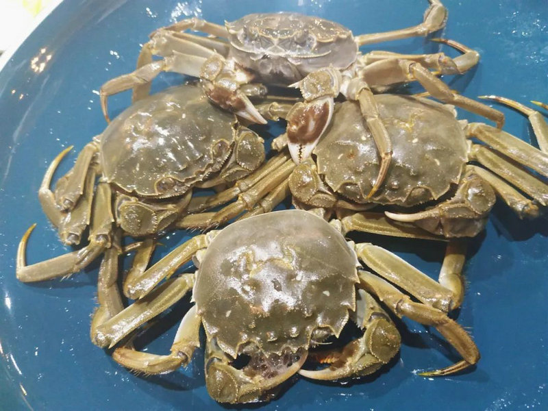 买楼风水十八看 买楼风水十八看