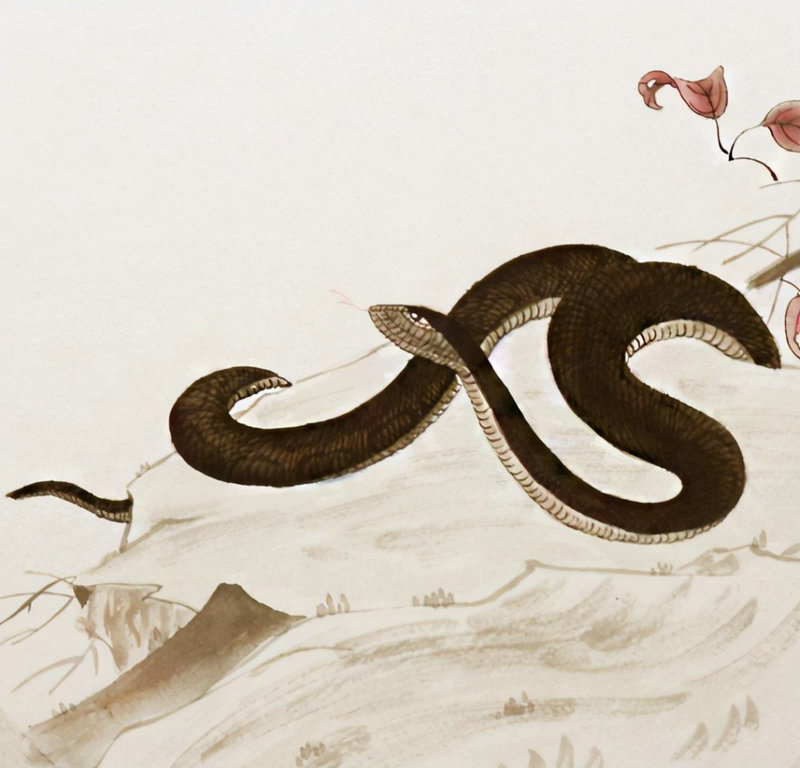 塔式三层别墅楼房风水禁忌 塔式三层别墅楼房风水禁忌