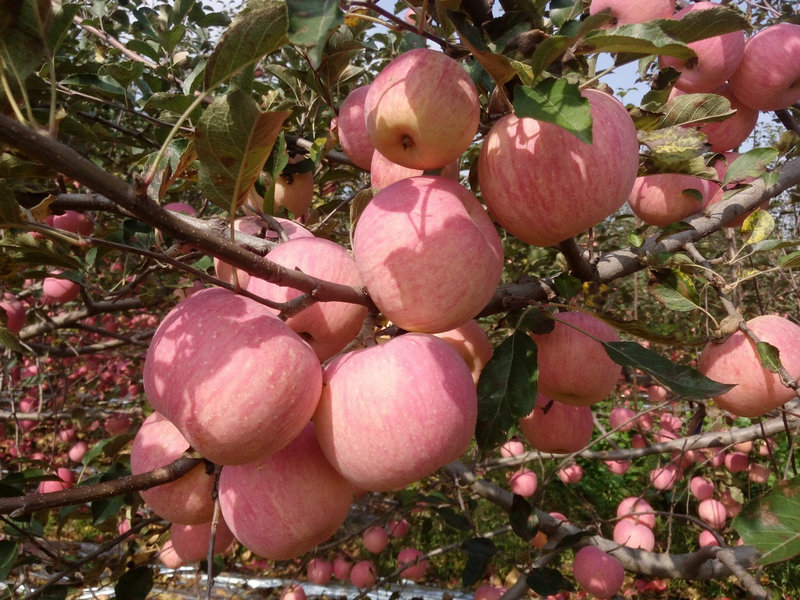 ʲô���ķ�ˮ���˶�