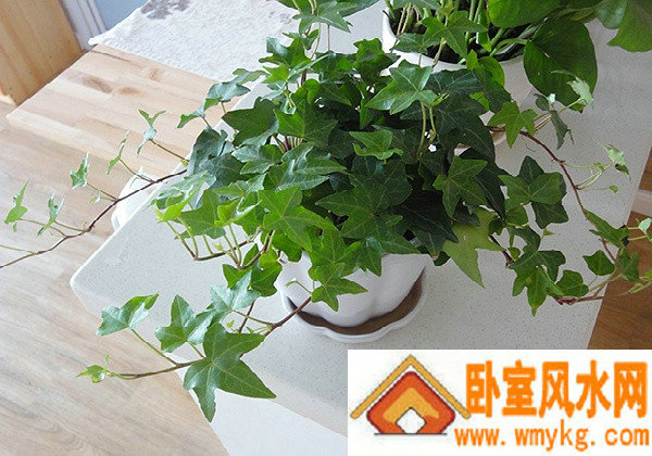 ǩ6ǩʲôǩ_޹֧(ǩ6ǩʲôǩ_޹֧Ƿгϵ)