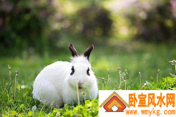 出生婴儿起名黄女孩是否能带来内心的安全感和幸福感(如何为出生婴儿起名黄女孩增添恋爱安全感的吉祥寓意) 出生婴儿起名黄女孩是否能带来内心的安全感和幸福感(如何为出生婴儿起名黄女孩增添恋爱安全感的吉祥寓意)