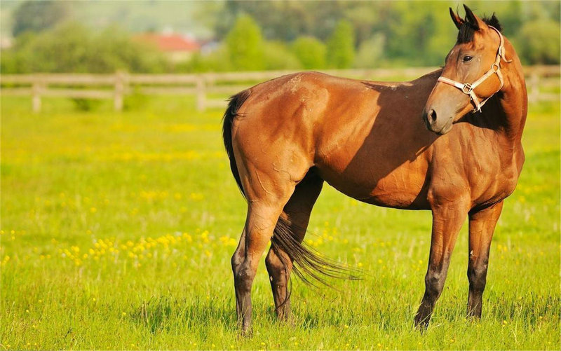 2023��������Ф������� 2023����Ф�����ƴ�ȫ