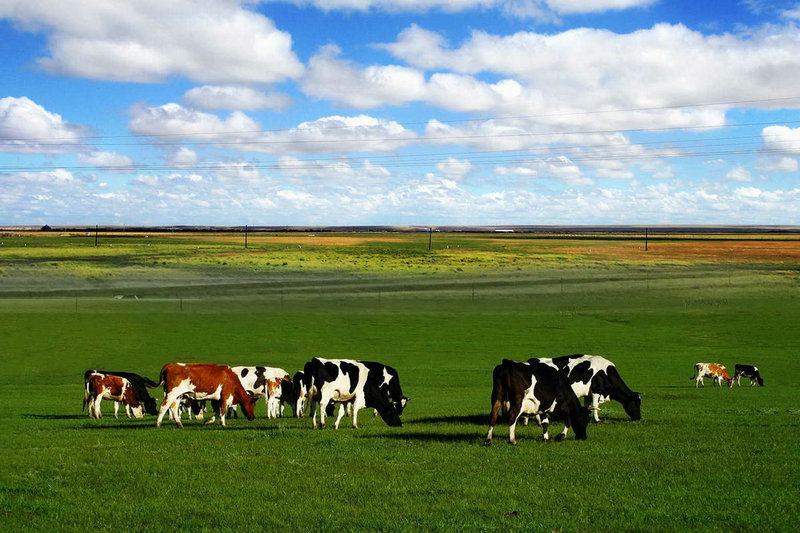 现代自建房风水怎么看 现代自建房风水怎么看