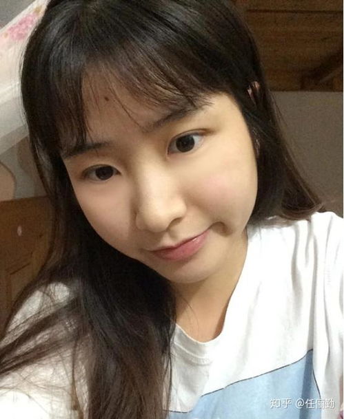 ʨ������12������ϵ��������