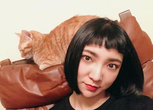 打造风水鱼缸,为您的家庭带来好运和财运! (打造风水鱼缸图片) 打造风水鱼缸,为您的家庭带来好运和财运! (打造风水鱼缸图片)