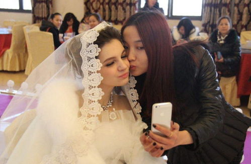 芭比电影大全(芭比电影大全在线观看) 芭比电影大全(芭比电影大全在线观看)