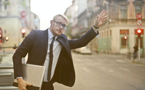 ����è�ֵ��Ӿ绢��è�ֵ��Ӿ�ȫ����Ѳ���