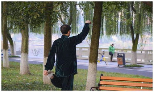 如何抓住12星座的心 如何抓住12星座的心