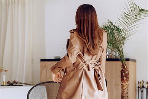 ���������Ҫ��������