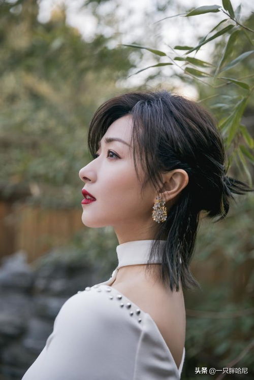 ��լ��ʲô�и�����