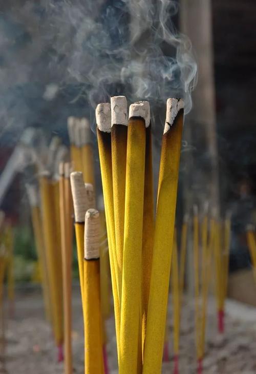 十二生肖猪的象征意义 十二生肖猪的象征意义